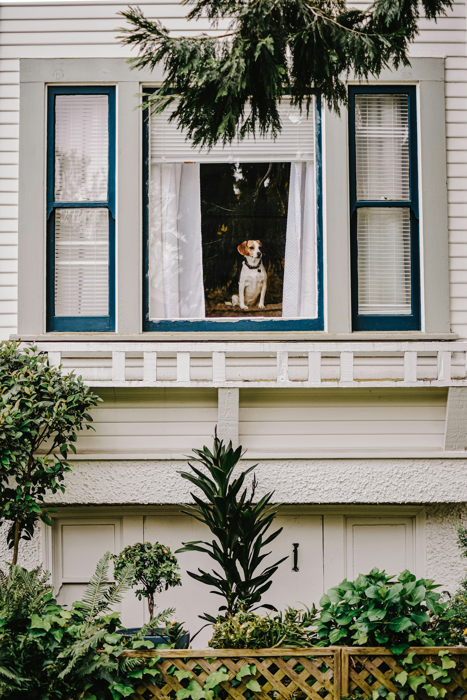 Nikon D750 + Sigma 50-150mm F2.8 EX APO DC HSM II + 1.4x sample photo. Green plant in front photography