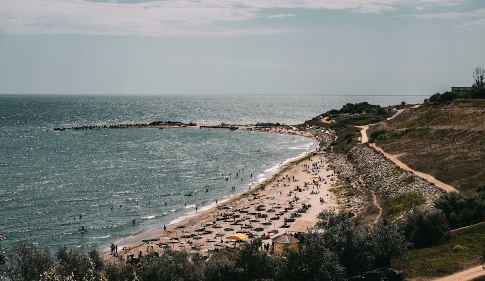 people on beach during daytime