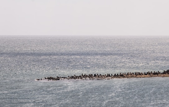A vast expanse of ocean stretches towards the horizon under a mostly clear sky. In the foreground, a breakwater constructed from large, irregularly shaped concrete blocks extends into the sea. The water has a shimmering effect due to sunlight reflecting on its surface.