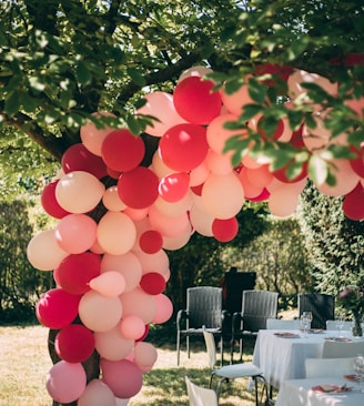 pink and red balloons near green trees during daytime