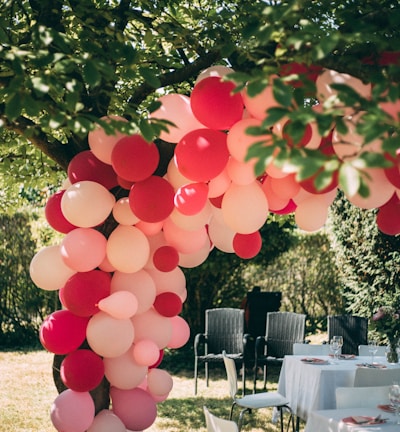 pink and red balloons near green trees during daytime
