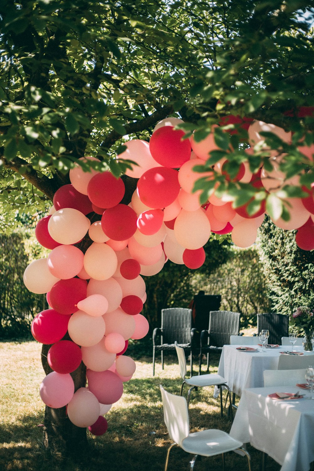 pink and red balloons near green trees during daytime
