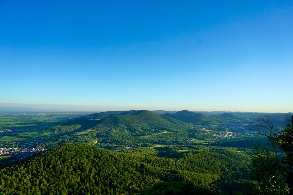 green trees on mountain under blue sky during daytime