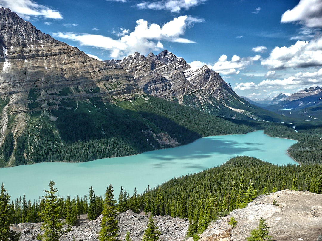 Glacial lake photo spot Peyto Lake Improvement District No. 9