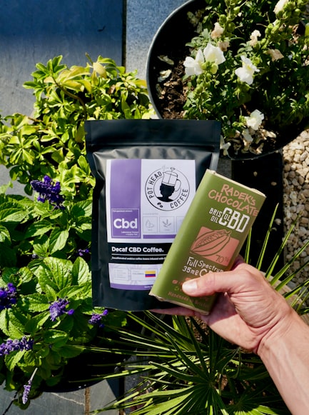 Benefits of Small-Scale CBD Chocolate