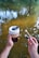 A person holds a reusable coffee cup in one hand and a lighter along with a hand-rolled cigarette in the other. The background features a serene body of water with visible ripples and reflections of trees.