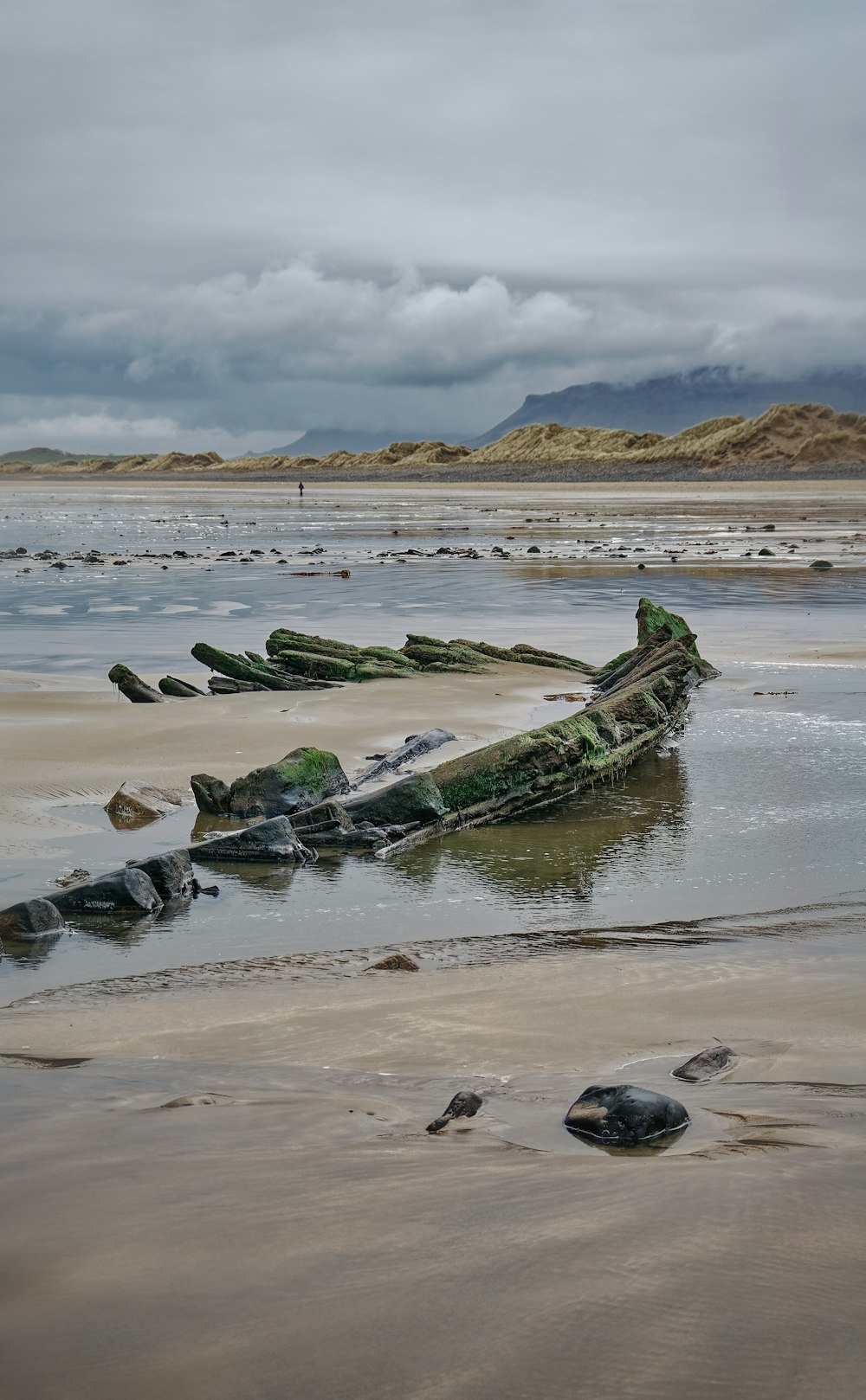 green and black boat on sea shore during daytime