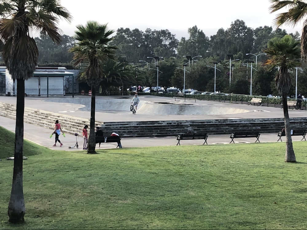 people walking on green grass field near body of water during daytime