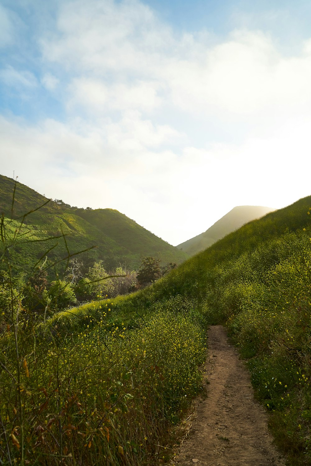 green grass field near mountain during daytime