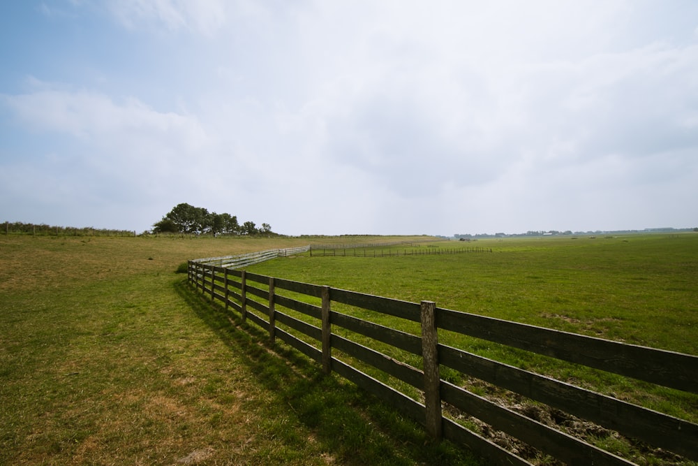 green grass field under white sky during daytime