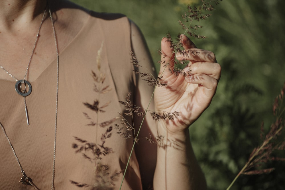 person holding brown dried leaf