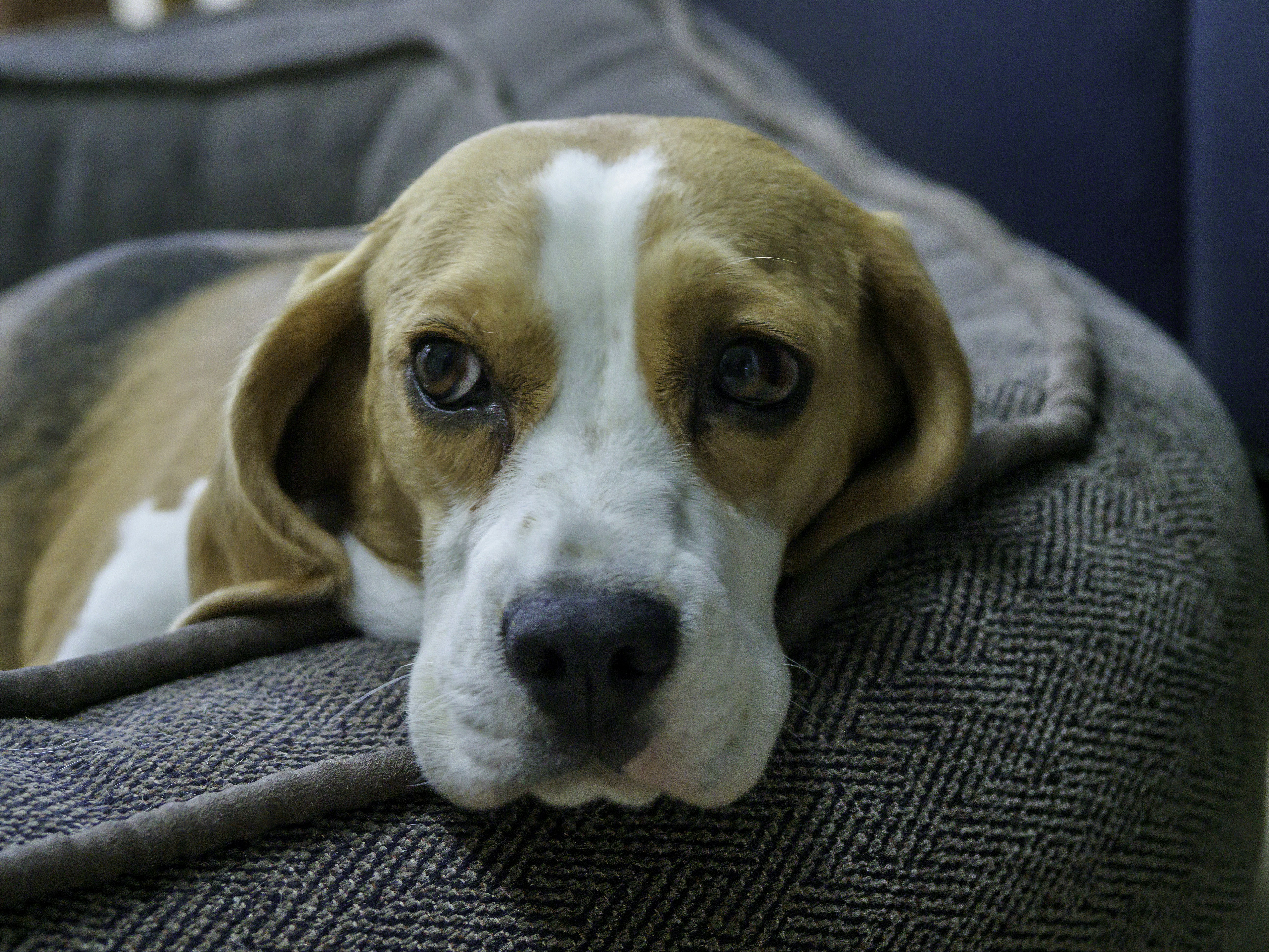 Photo by brett_jordan