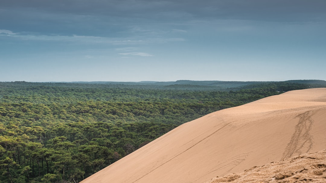 Plain photo spot The Great Dune of Pyla Bordeaux