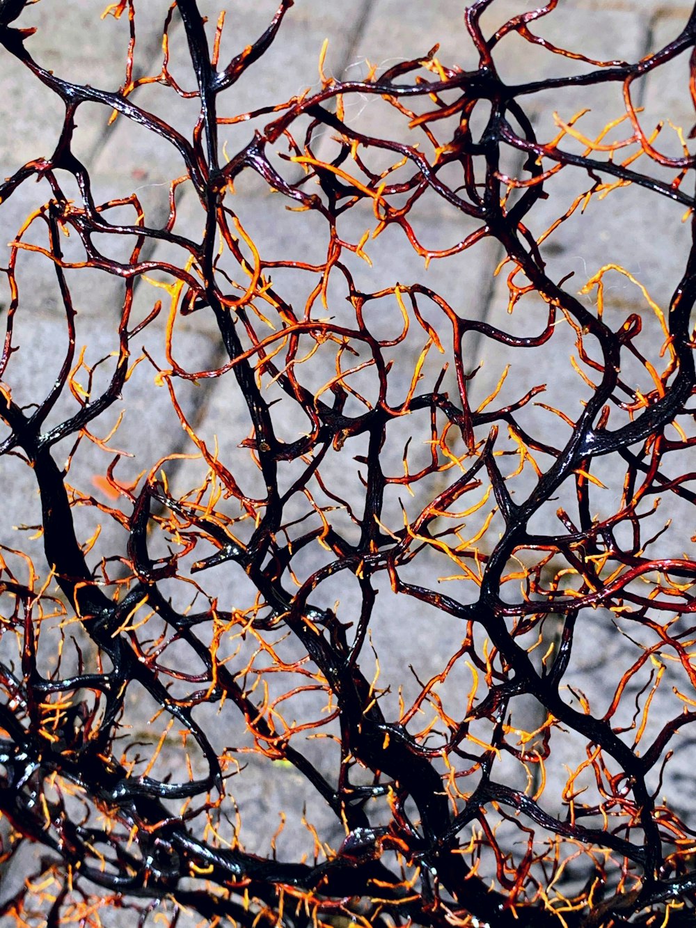 ramo d'albero marrone durante il giorno