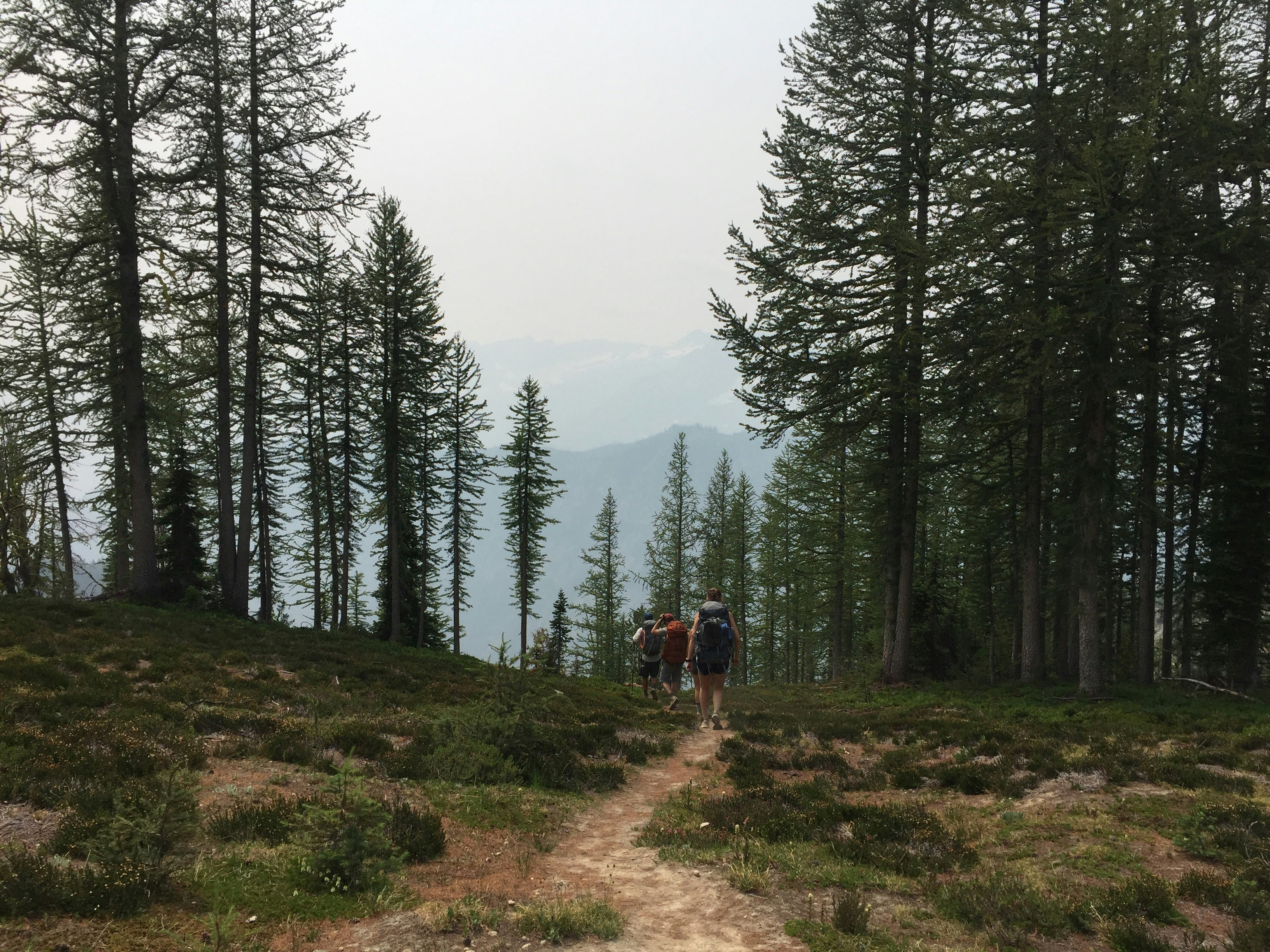 person in black jacket walking on dirt road between green trees during daytime