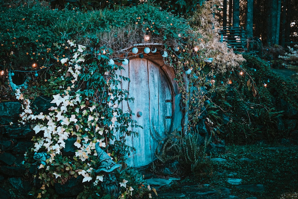 brown wooden door surrounded by green plants