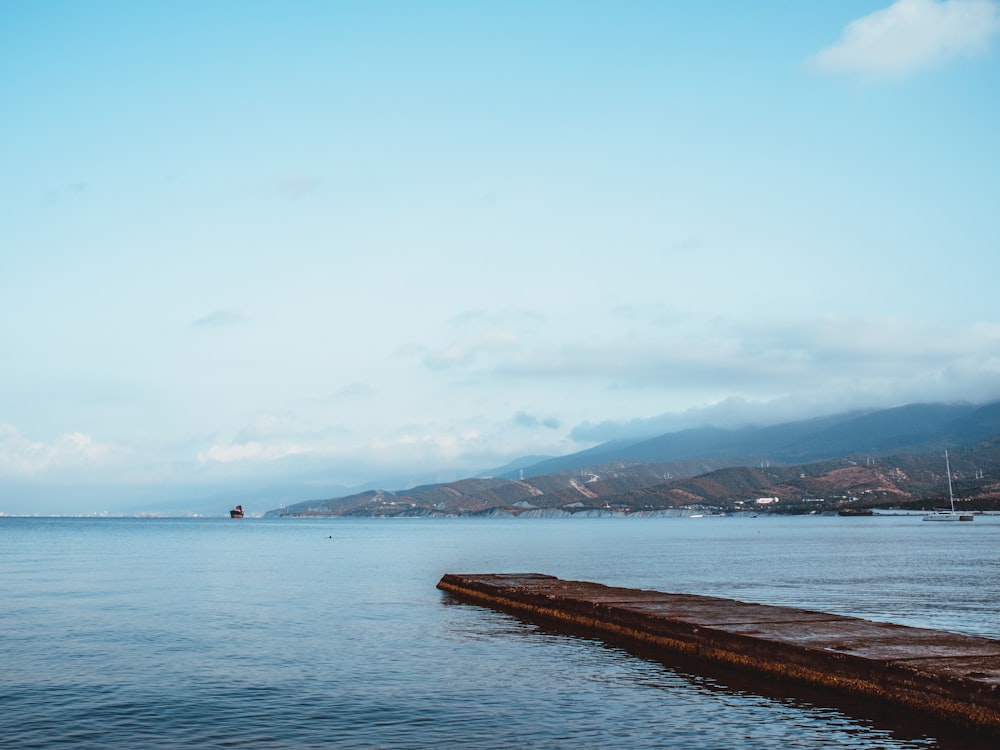 Muelle de madera marrón en el mar durante el día