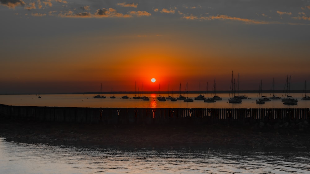 silhouette of people on beach during sunset