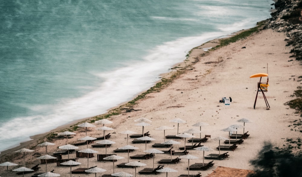 people on beach during daytime