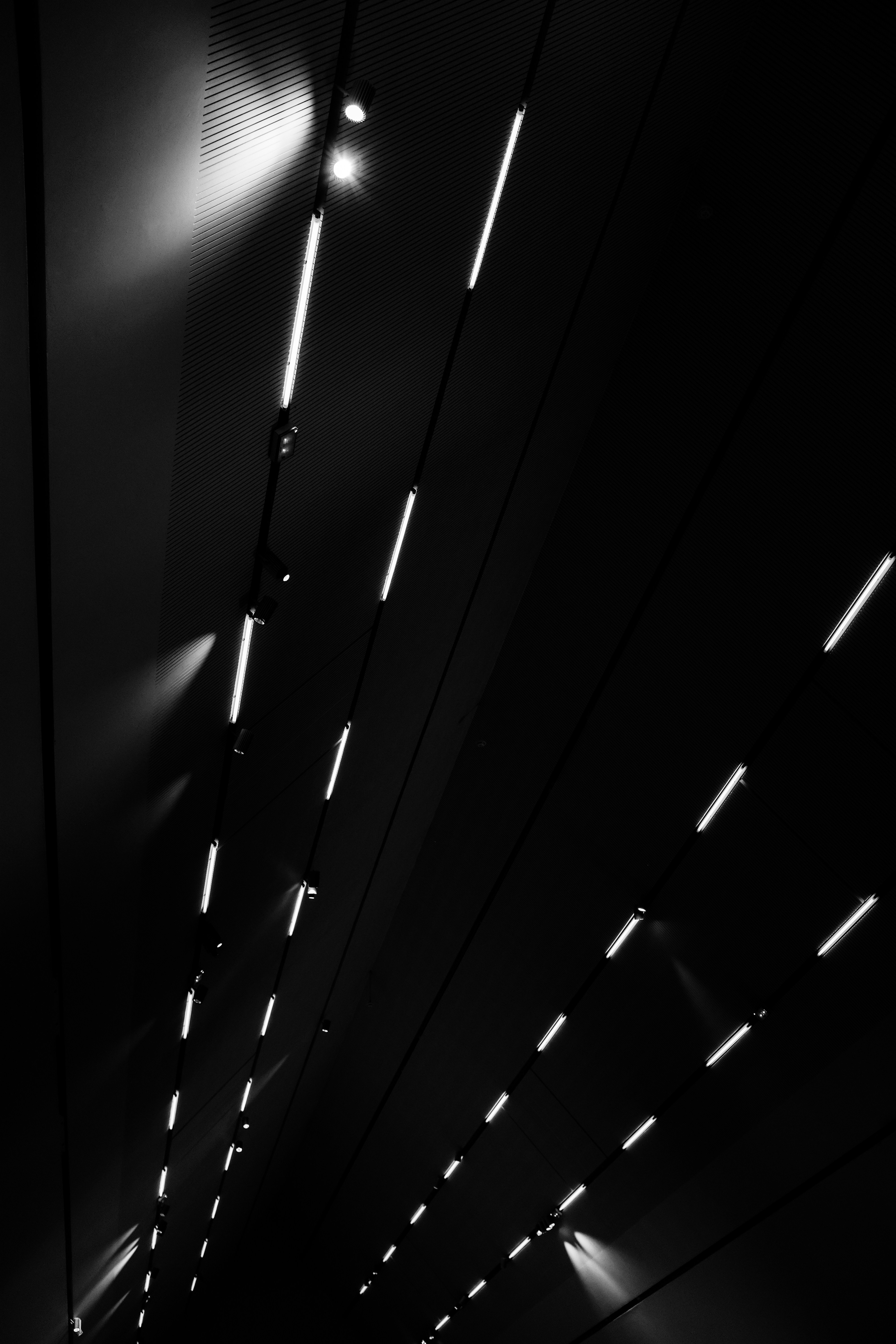 Photo by adrienolichon