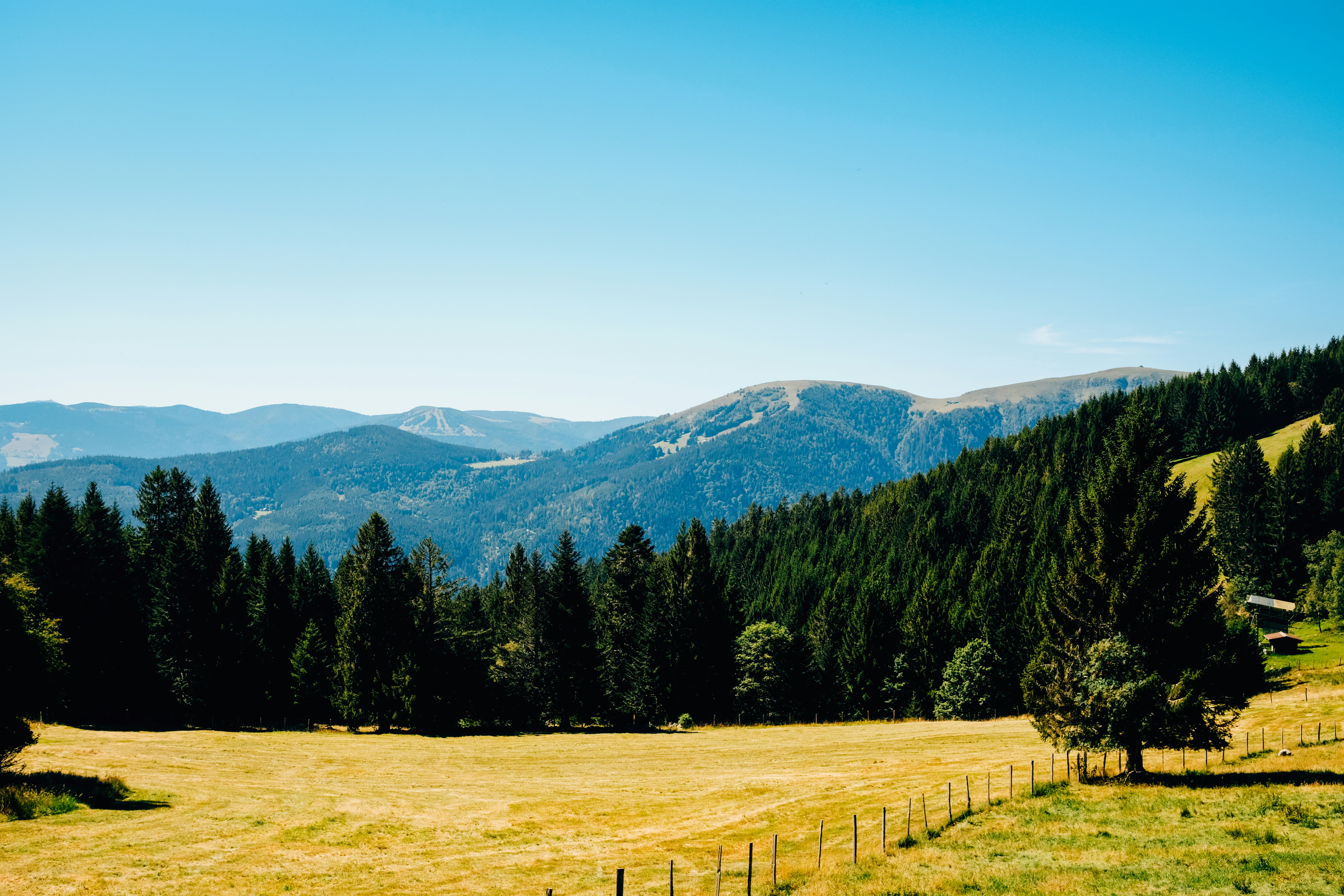 Photo by adrienolichon