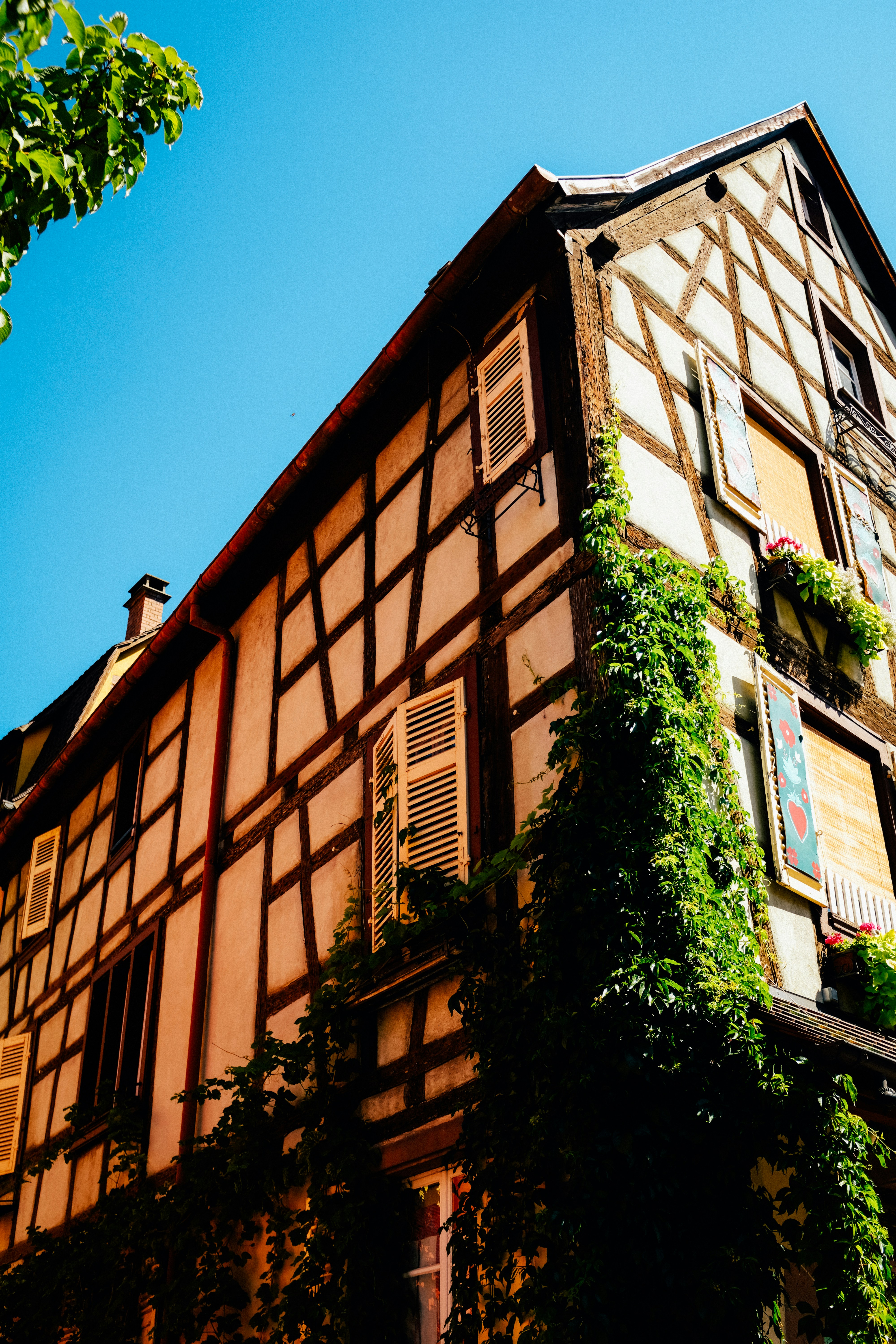 Photo by adrienolichon