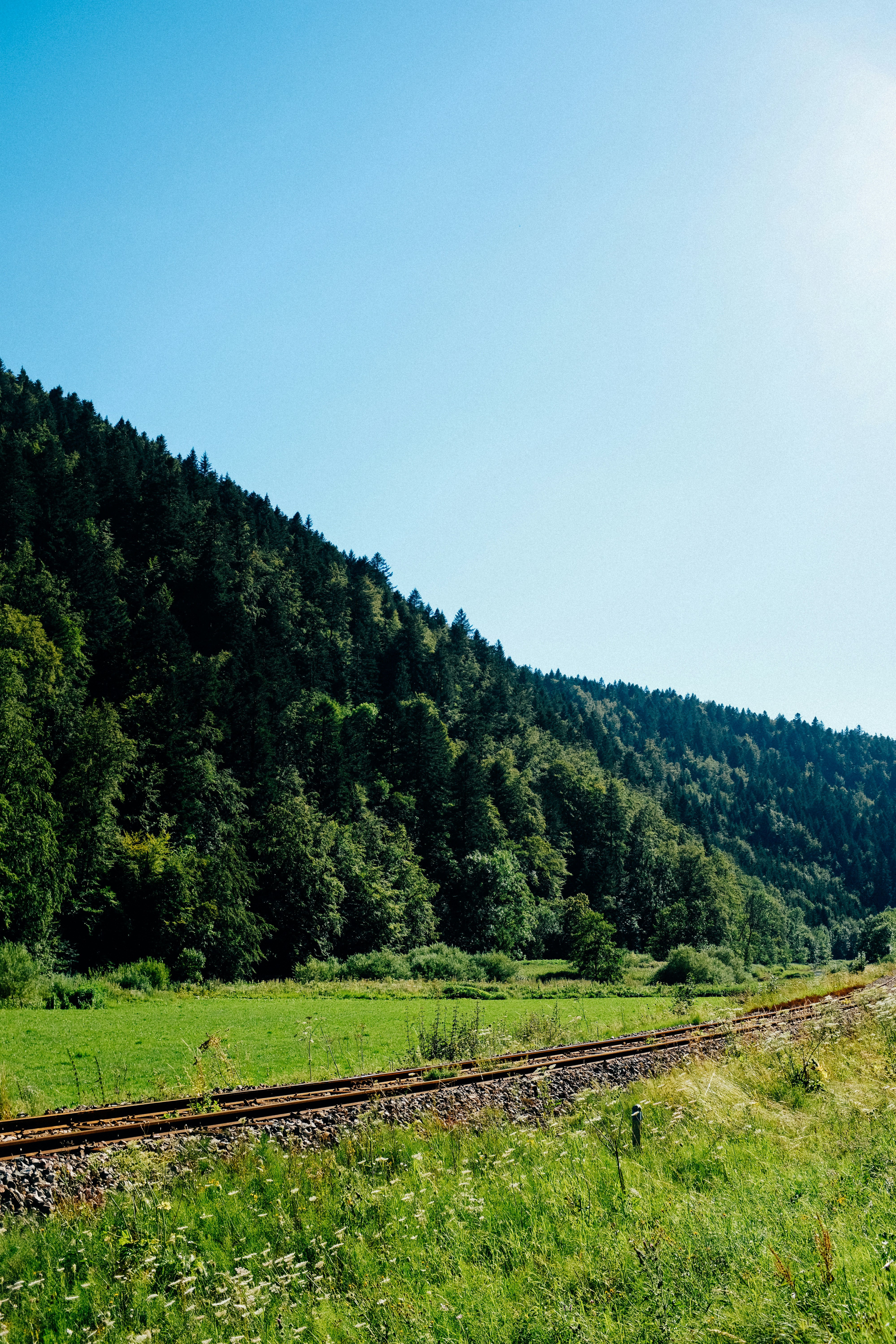 Photo by adrienolichon