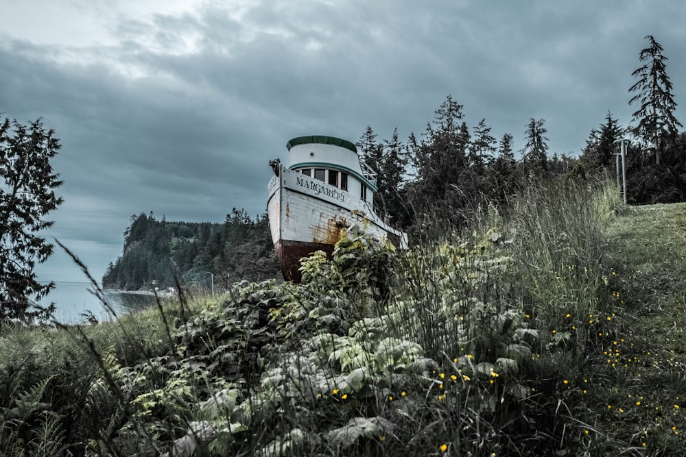 white and orange boat on green grass field during daytime