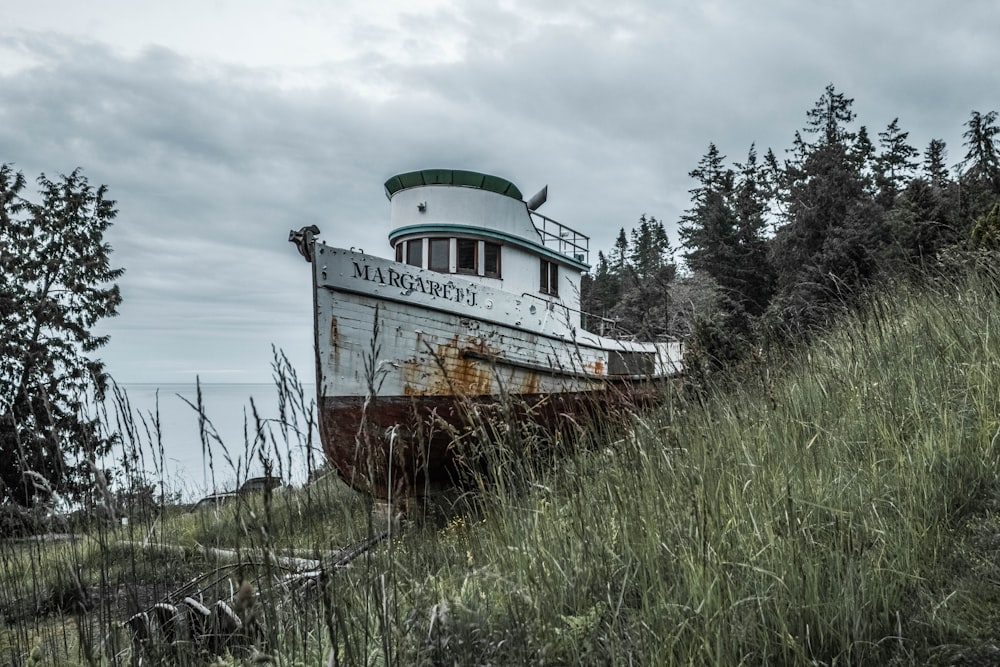 white and brown boat on green grass field under white clouds during daytime