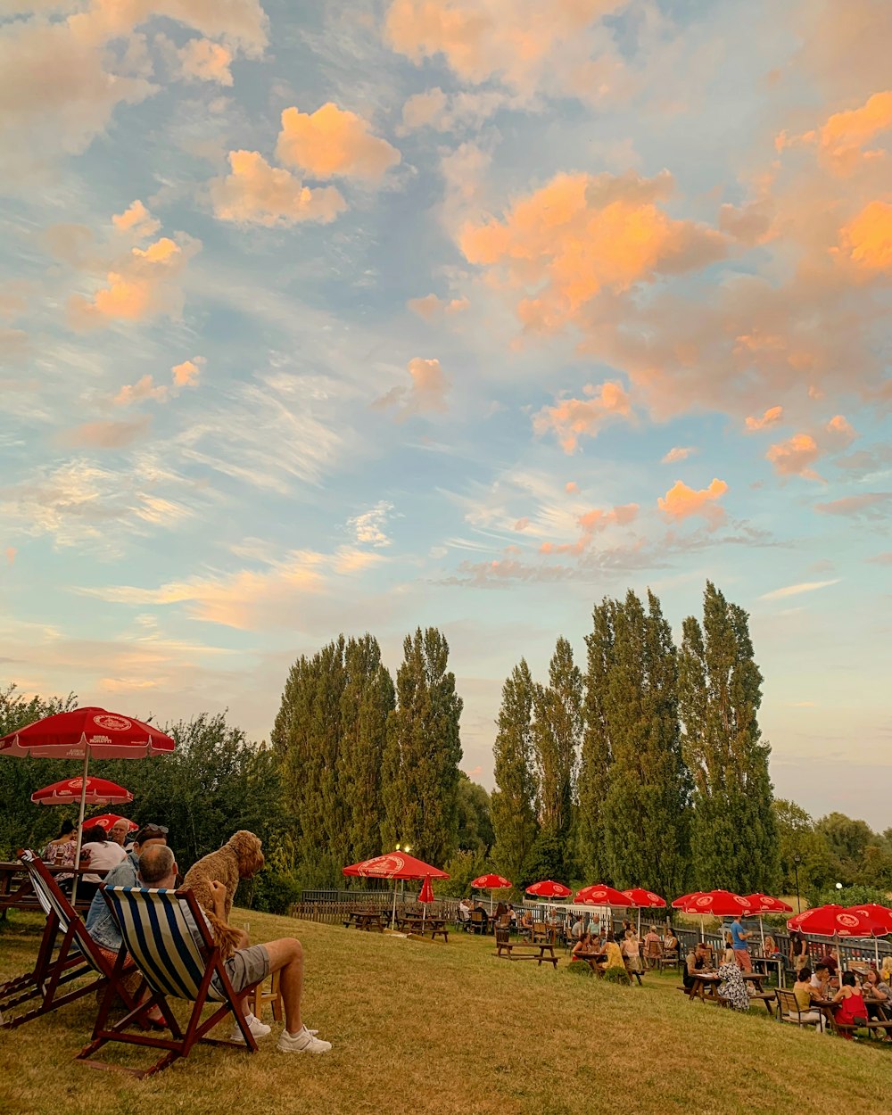 people sitting on green grass field near green trees under white clouds and blue sky during