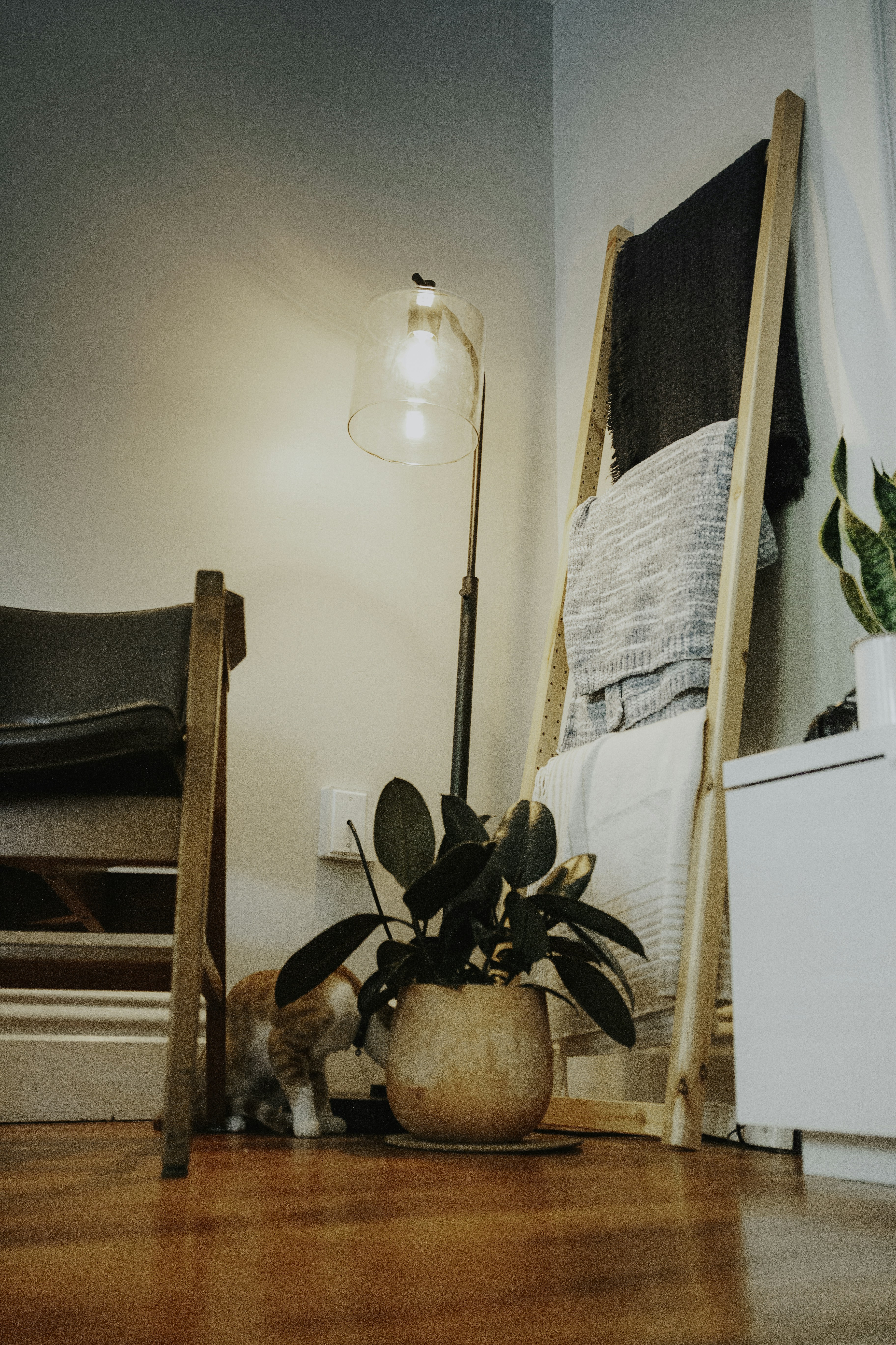 Photo by relentlessjpg