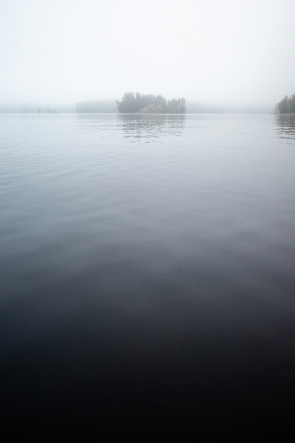 body of water near trees during daytime