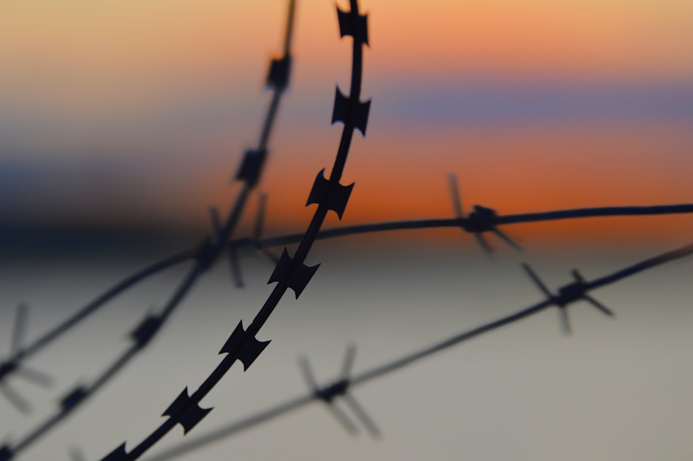 Silhouette von Stacheldraht bei Sonnenuntergang