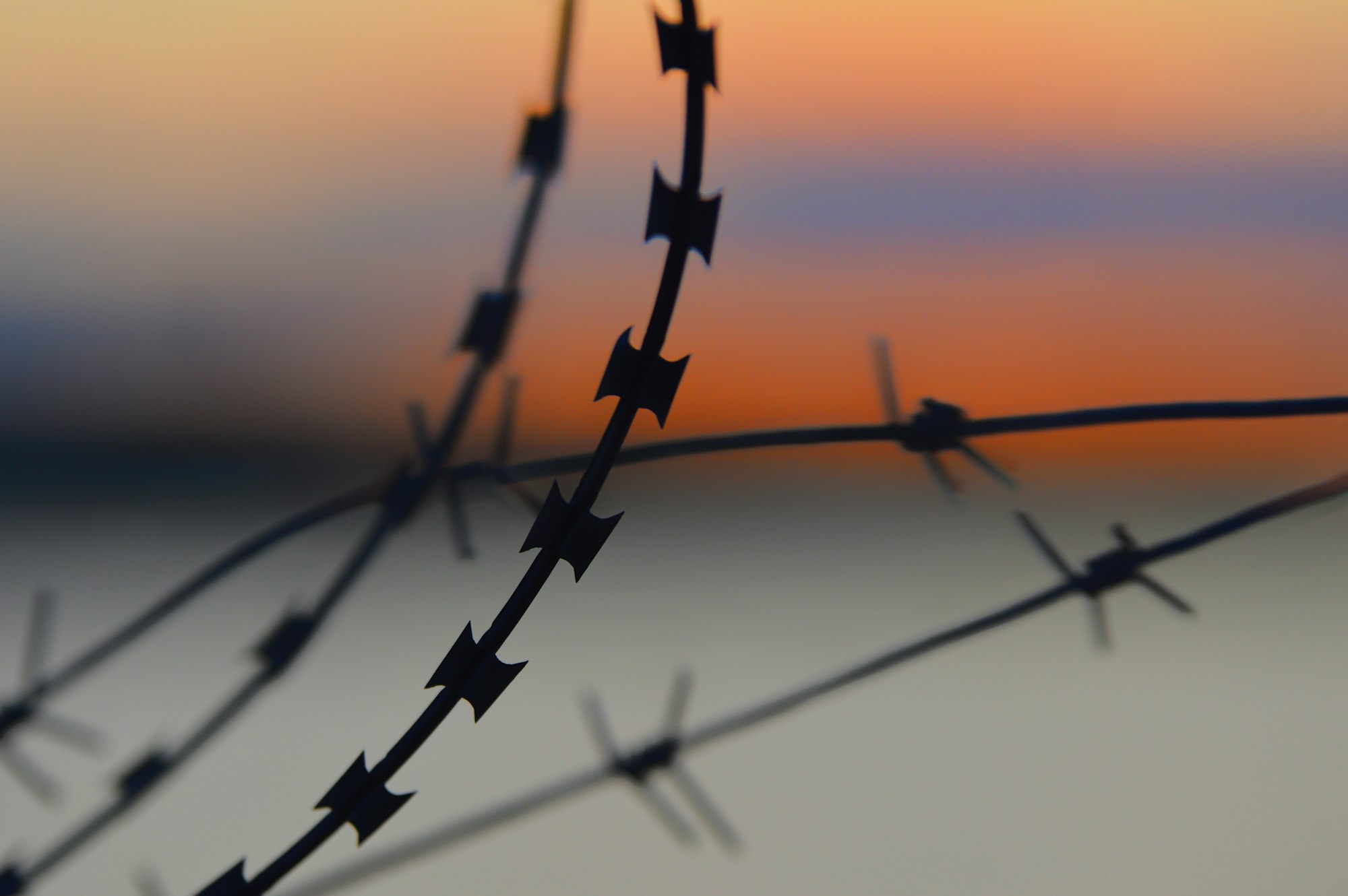 Barbed wire at sunset