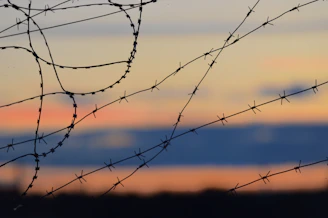 black barbwire in close up photography during daytime