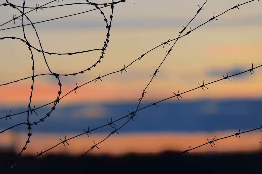 black barbwire in close up photography during daytime