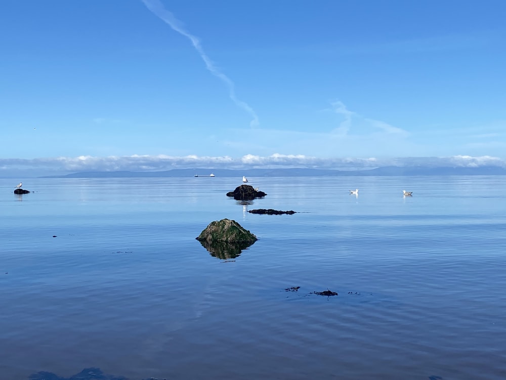 green and brown rock formation on body of water under blue sky during daytime