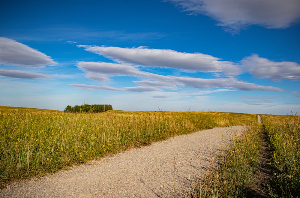 green grass field under blue sky during daytime