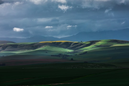 green grass field under cloudy sky during daytime in Caledon South Africa