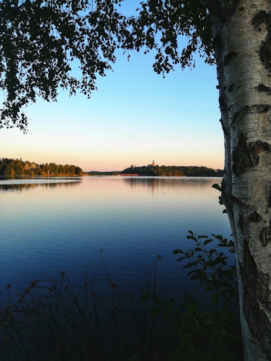 body of water near trees during daytime in Växjö Sweden