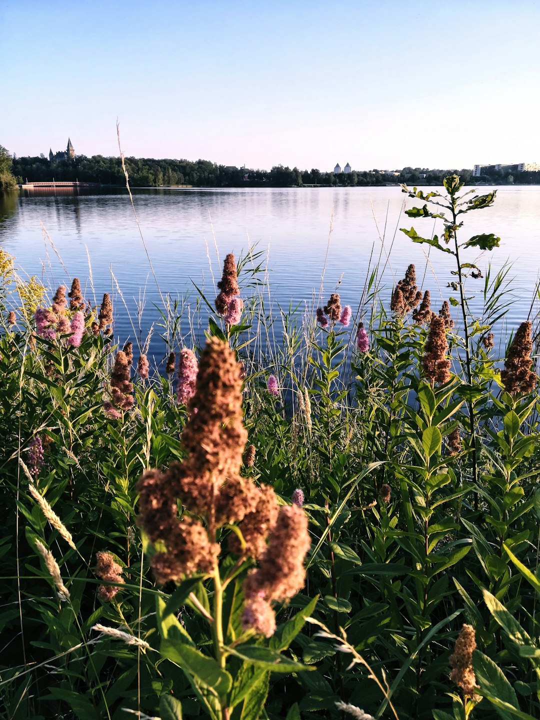 River photo spot Växjö Ronneby