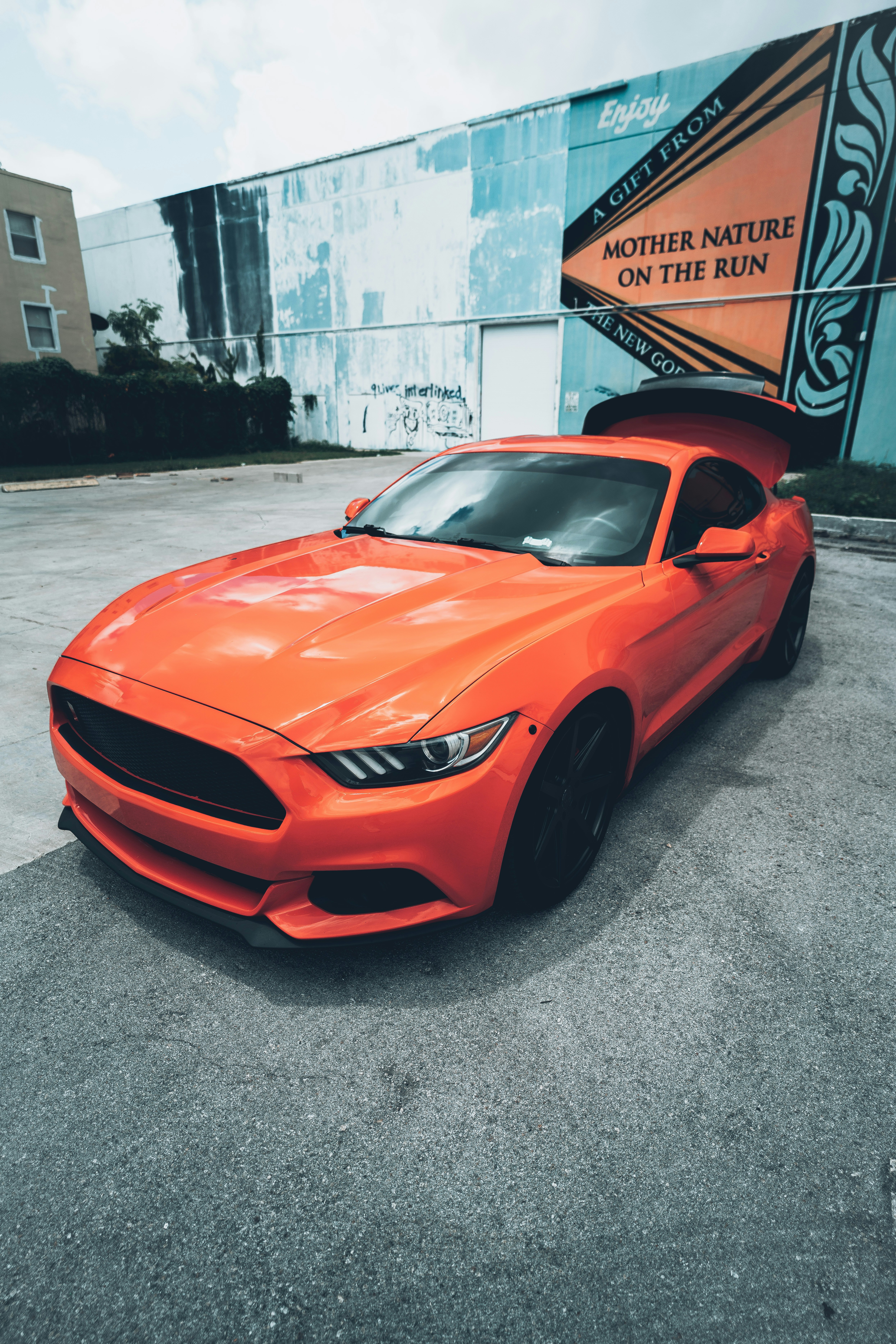 Photo by andredantan19