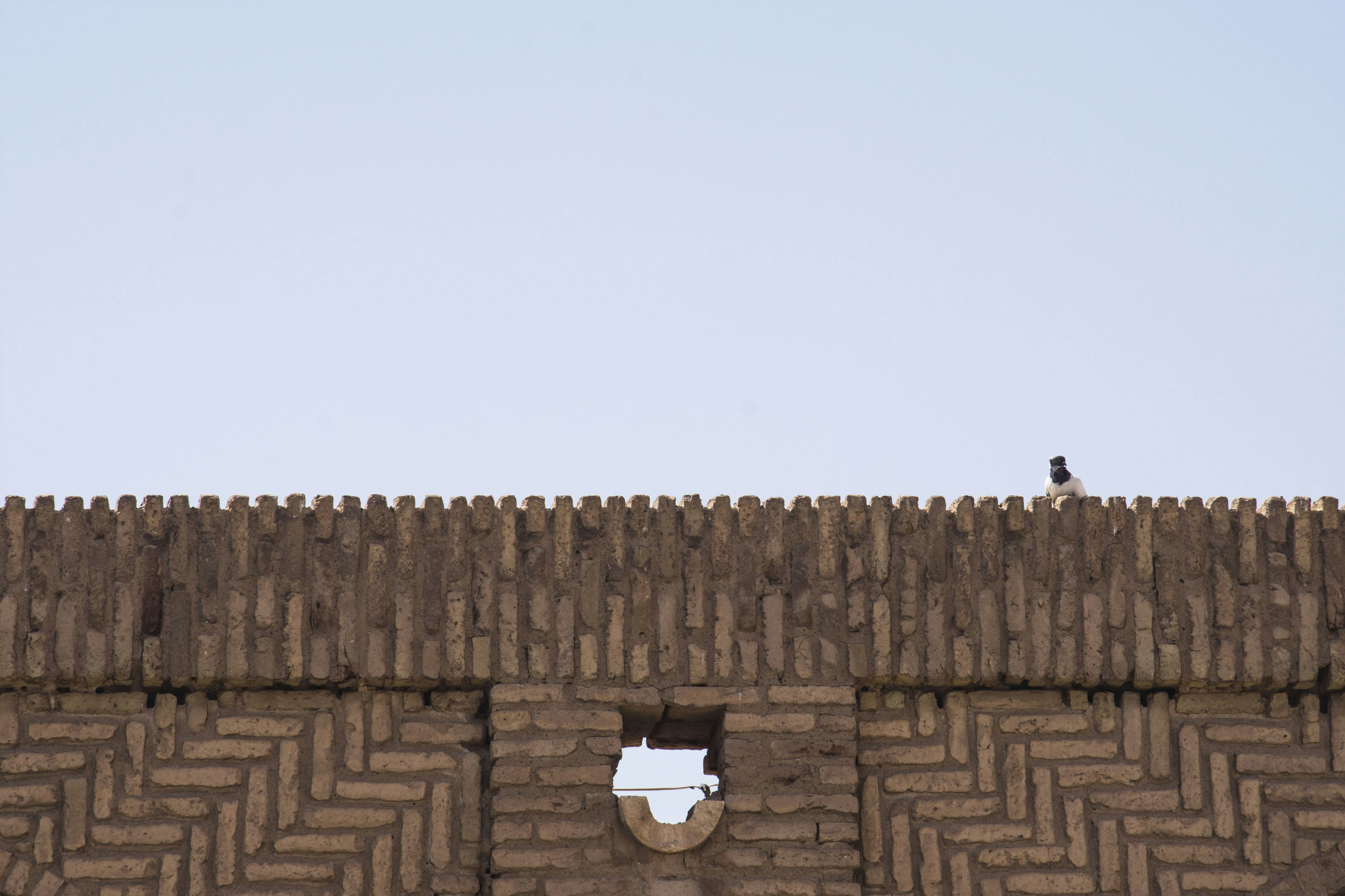 Photo by javad_esmaeili