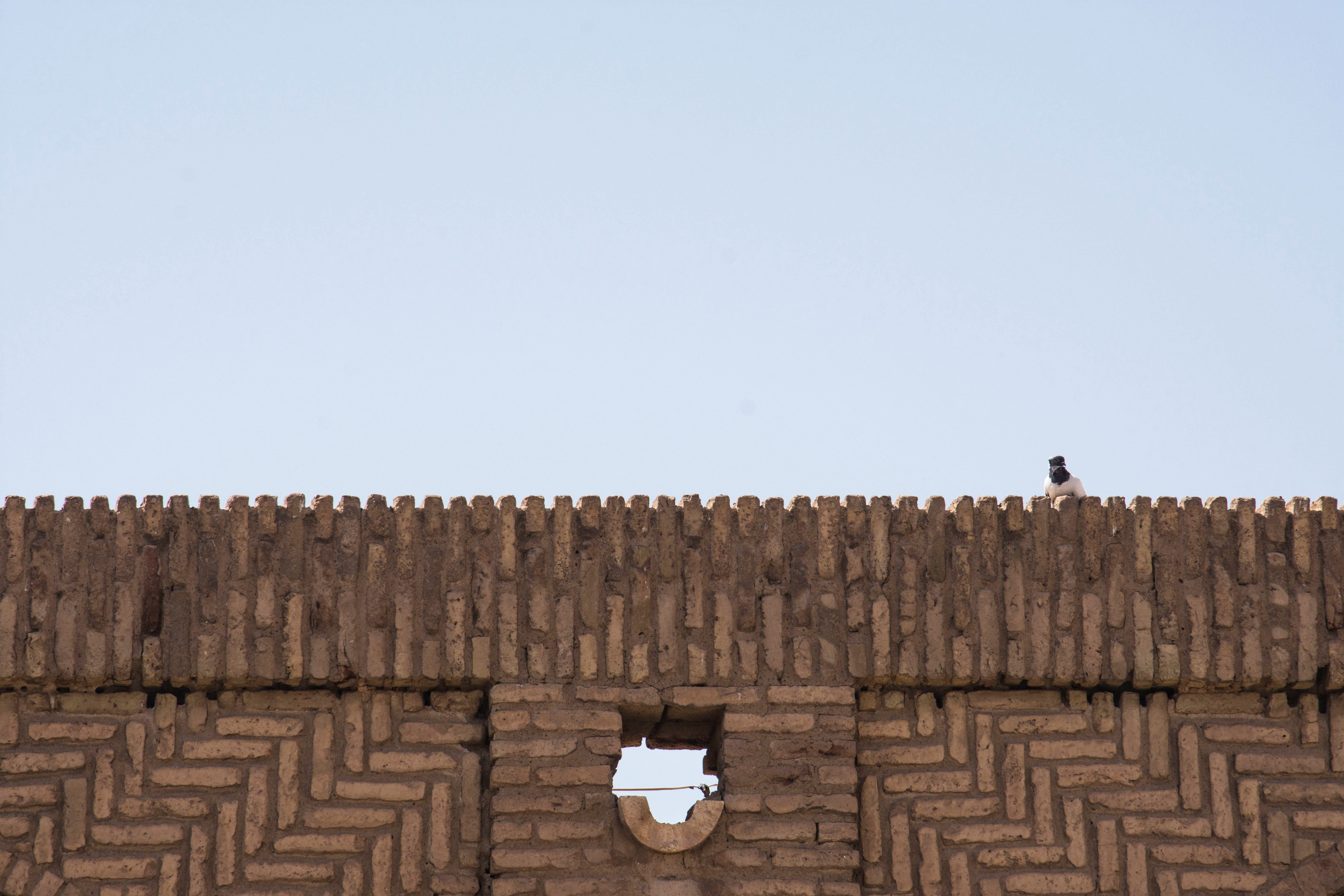 brown brick wall under white sky during daytime