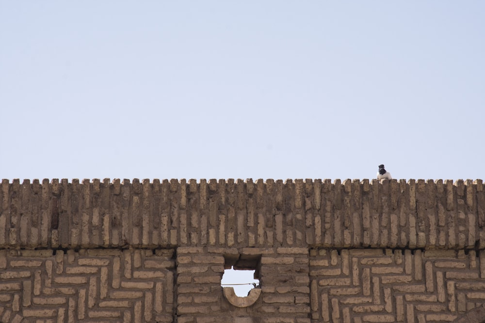 brown brick wall under white sky during daytime