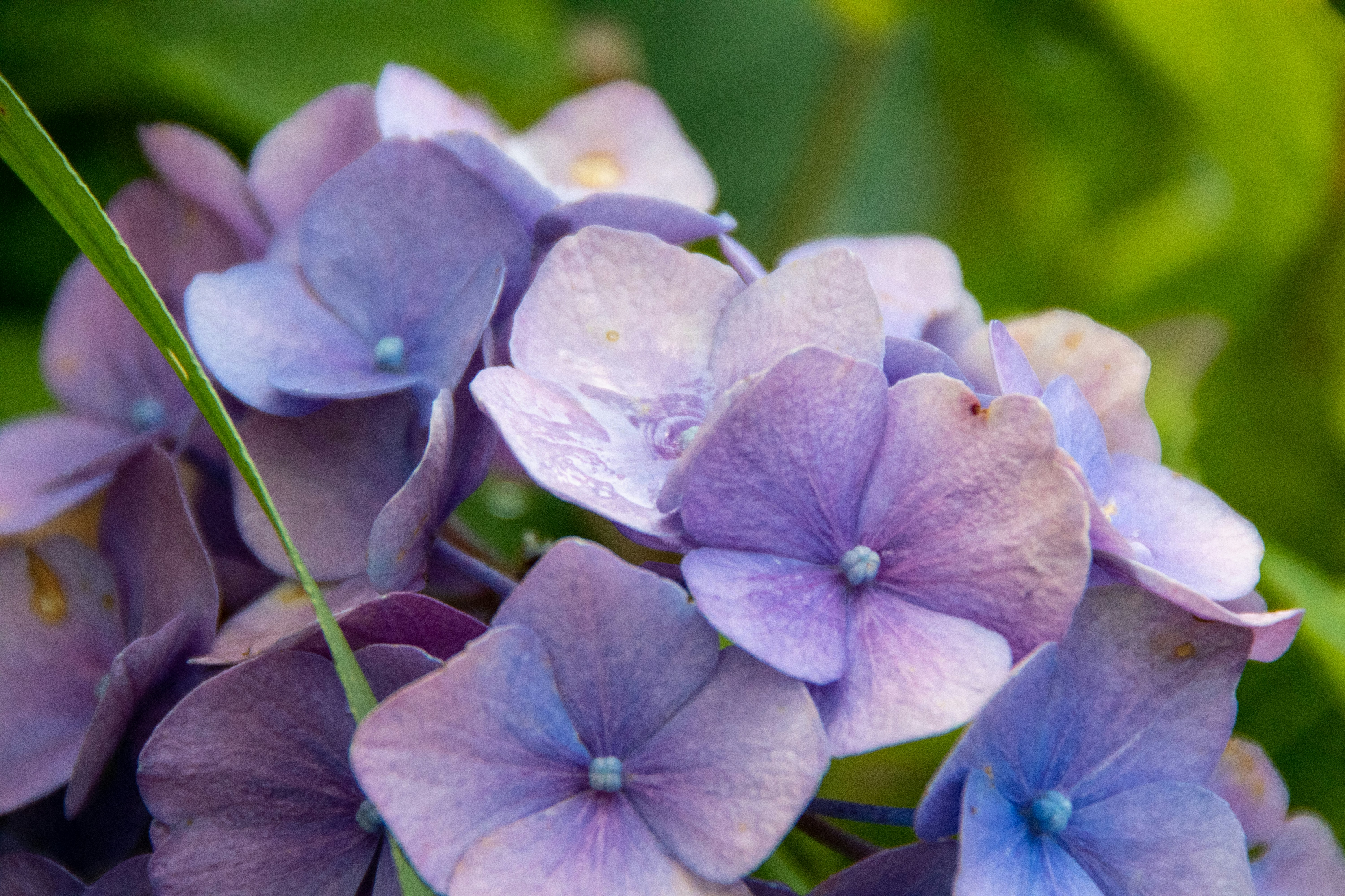 Photo by einfachlaurenz