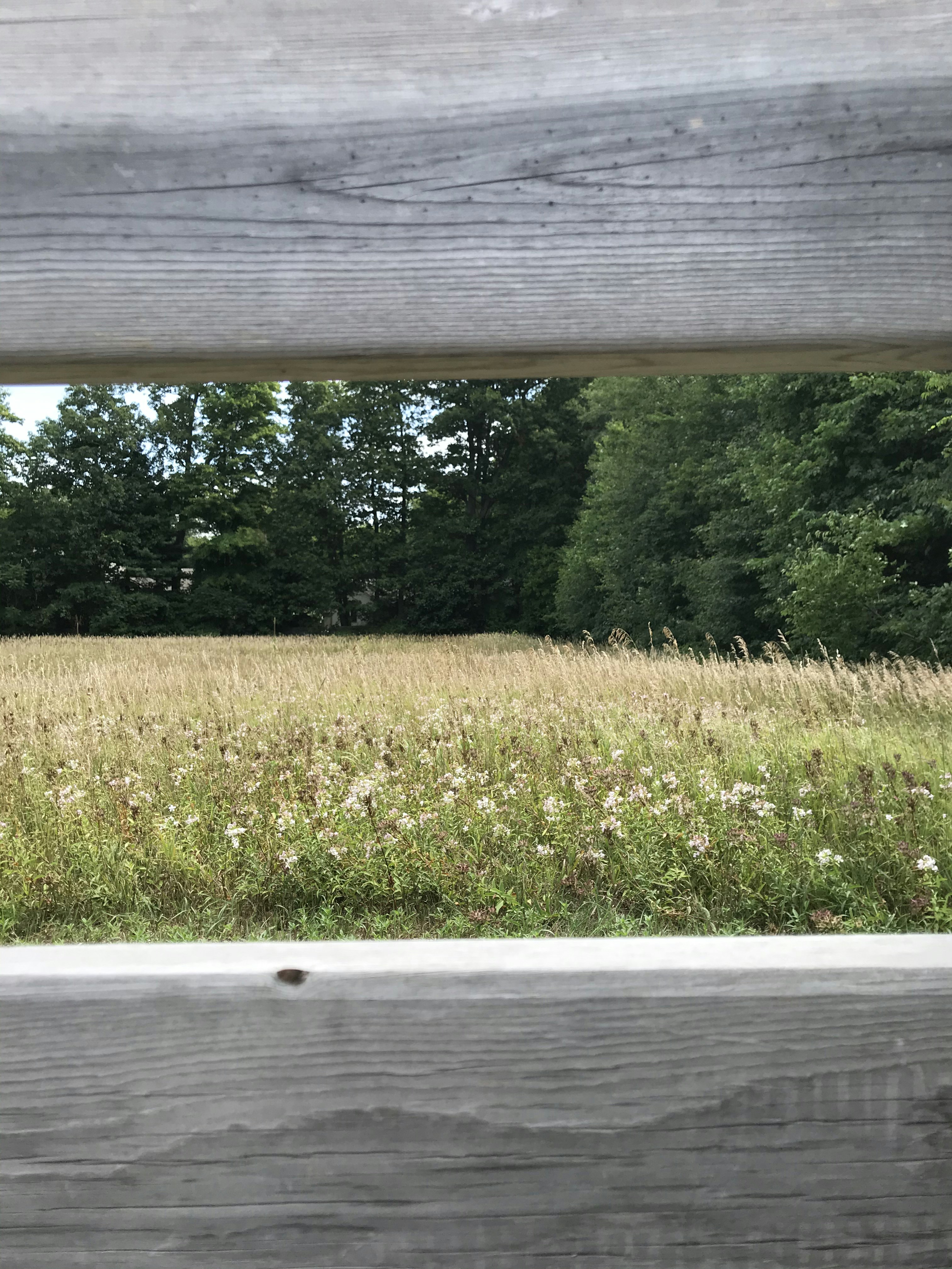 Brown wooden fence near green grass field during daytime photo – Free ...