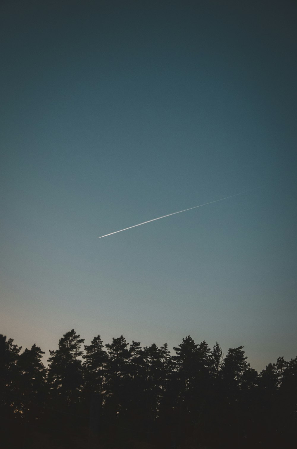 árvores verdes sob o céu azul durante o dia