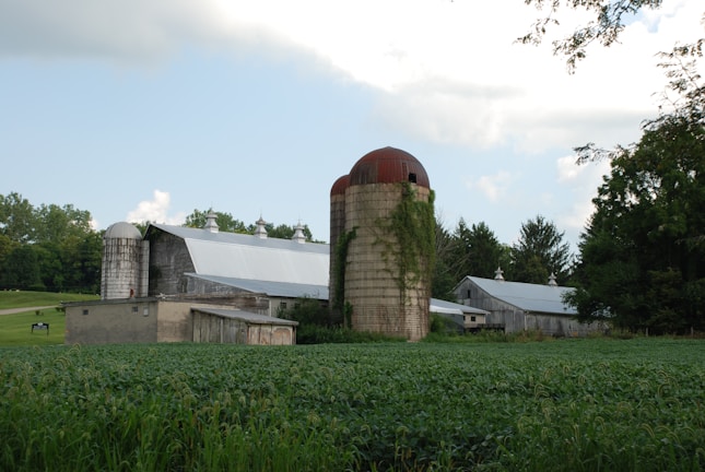 A scenic farm landscape with a large silo covered in creeping vines standing next to a barn with a metal roof. The farm is surrounded by lush green fields and trees, with a clear blue sky above.