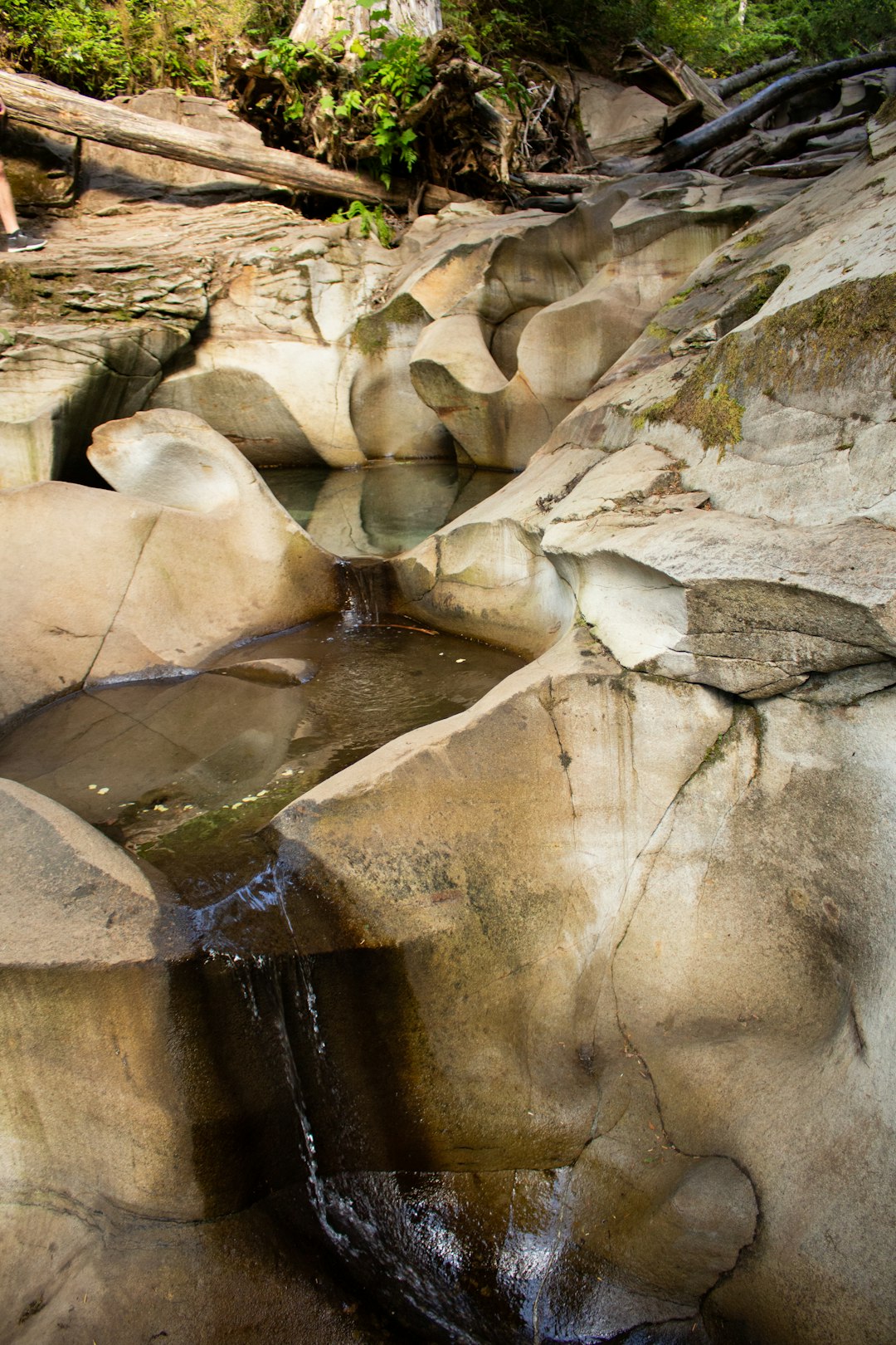 Watercourse photo spot Cumberland Canada